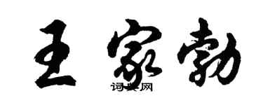 胡问遂王家勃行书个性签名怎么写
