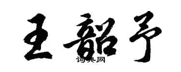 胡问遂王韶予行书个性签名怎么写