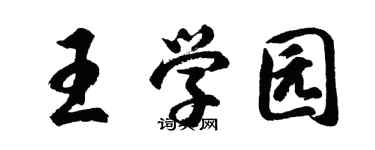 胡问遂王学园行书个性签名怎么写