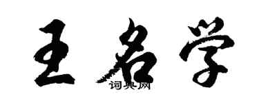 胡问遂王名学行书个性签名怎么写