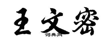 胡问遂王文密行书个性签名怎么写