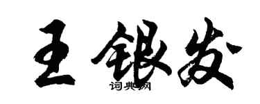 胡问遂王银发行书个性签名怎么写