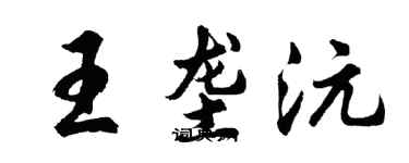 胡问遂王垄沅行书个性签名怎么写