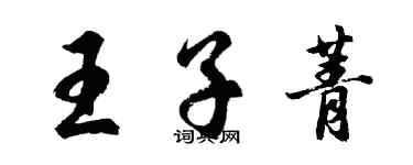 胡问遂王子菁行书个性签名怎么写