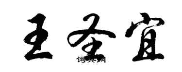 胡问遂王圣宜行书个性签名怎么写