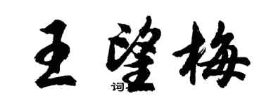 胡问遂王望梅行书个性签名怎么写