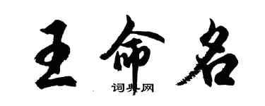 胡问遂王命名行书个性签名怎么写
