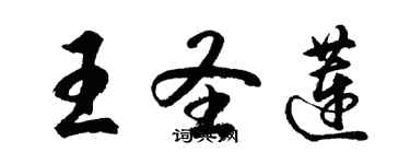胡问遂王圣莲行书个性签名怎么写