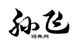 胡问遂孙飞行书个性签名怎么写
