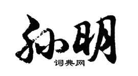 胡问遂孙明行书个性签名怎么写