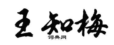 胡问遂王知梅行书个性签名怎么写