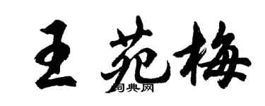 胡问遂王苑梅行书个性签名怎么写