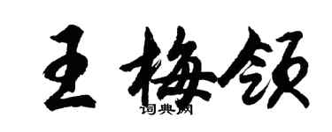 胡问遂王梅领行书个性签名怎么写