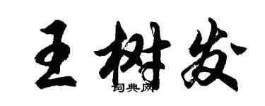 胡问遂王树发行书个性签名怎么写