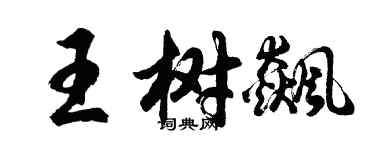 胡问遂王树飙行书个性签名怎么写