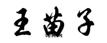 胡问遂王苗子行书个性签名怎么写