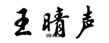 胡问遂王晴声行书个性签名怎么写