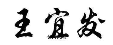 胡问遂王宜发行书个性签名怎么写