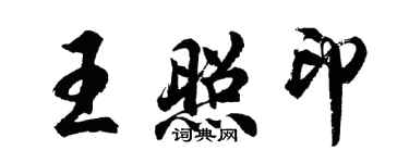 胡问遂王照印行书个性签名怎么写