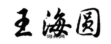 胡问遂王海圆行书个性签名怎么写