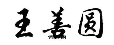 胡问遂王善圆行书个性签名怎么写