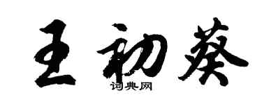 胡问遂王初葵行书个性签名怎么写