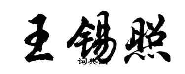 胡问遂王锡照行书个性签名怎么写