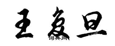 胡问遂王复旦行书个性签名怎么写