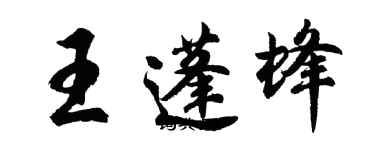 胡问遂王蓬蜂行书个性签名怎么写