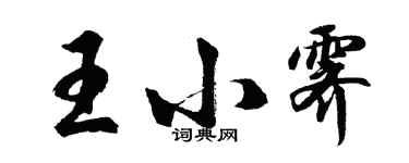 胡问遂王小霁行书个性签名怎么写
