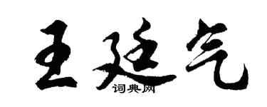 胡问遂王廷气行书个性签名怎么写