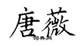 丁谦唐薇楷书个性签名怎么写