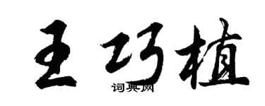 胡问遂王巧植行书个性签名怎么写