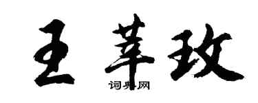 胡问遂王莘玫行书个性签名怎么写