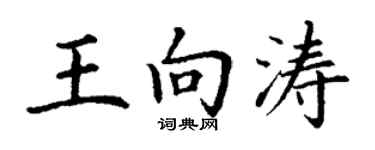 丁谦王向涛楷书个性签名怎么写
