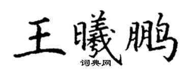 丁谦王曦鹏楷书个性签名怎么写