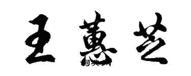 胡问遂王蕙芝行书个性签名怎么写