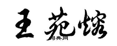胡问遂王苑熔行书个性签名怎么写