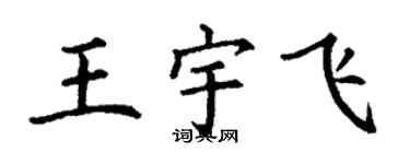 丁谦王宇飞楷书个性签名怎么写