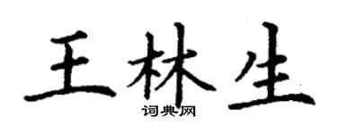 丁谦王林生楷书个性签名怎么写