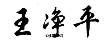 胡问遂王净平行书个性签名怎么写
