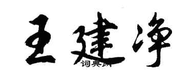 胡问遂王建净行书个性签名怎么写