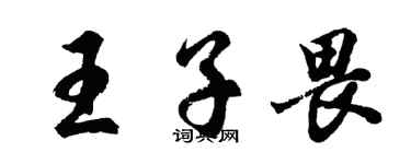 胡问遂王子畏行书个性签名怎么写