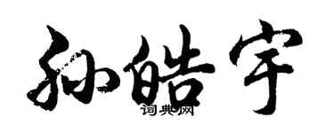 胡问遂孙皓宇行书个性签名怎么写