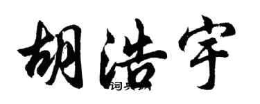 胡问遂胡浩宇行书个性签名怎么写