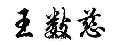 胡问遂王数慈行书个性签名怎么写