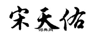 胡问遂宋天佑行书个性签名怎么写