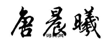 胡问遂唐晨曦行书个性签名怎么写