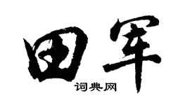 胡问遂田军行书个性签名怎么写