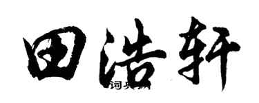 胡问遂田浩轩行书个性签名怎么写